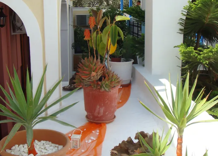 Petros * Fira (Santorini)